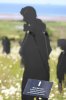 Un survivant se souvient de ses camarades morts en Normandie.